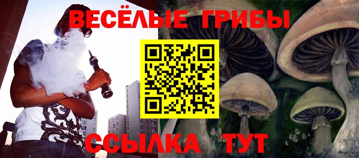 Псилоцибиновые грибы мицелий Жигулёвск